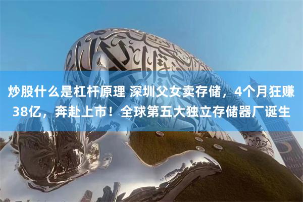 炒股什么是杠杆原理 深圳父女卖存储,4个月狂赚38亿,奔赴上市!全球第五大独立存储器厂诞生