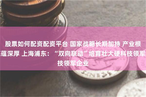 股票如何配资配资平台 国家战略长期加持 产业根基底蕴深厚 上海浦东：“双向联动”培育壮大硬科技领军企业