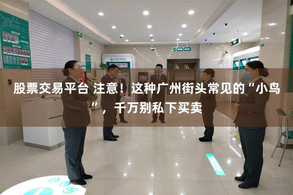 股票交易平台 注意！这种广州街头常见的“小鸟”，千万别私下买卖