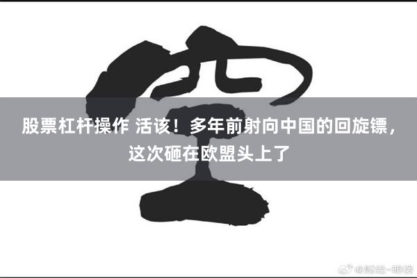 股票杠杆操作 活该！多年前射向中国的回旋镖，这次砸在欧盟头上了