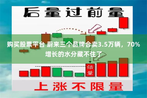购买股票平台 蔚来三个品牌合卖3.5万辆，70%增长的水分藏不住了