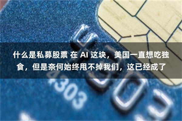 什么是私募股票 在 AI 这块，美国一直想吃独食，但是奈何始终甩不掉我们，这已经成了