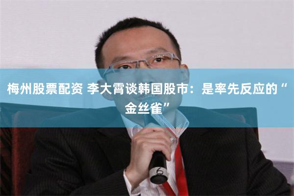梅州股票配资 李大霄谈韩国股市：是率先反应的“金丝雀”