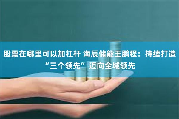 股票在哪里可以加杠杆 海辰储能王鹏程：持续打造“三个领先” 迈向全域领先