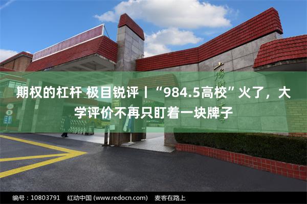 期权的杠杆 极目锐评丨“984.5高校”火了，大学评价不再只盯着一块牌子