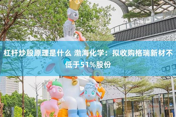 杠杆炒股原理是什么 渤海化学：拟收购格瑞新材不低于51%股份